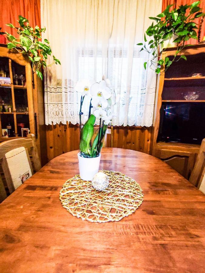 Apartmani Ankica Цриквениця Екстер'єр фото